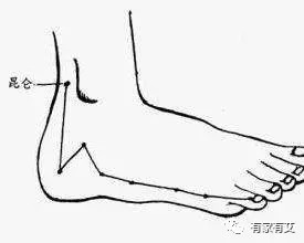 【有家有艾爱传天下】小肠有寒如何化?艾灸关元有奇效