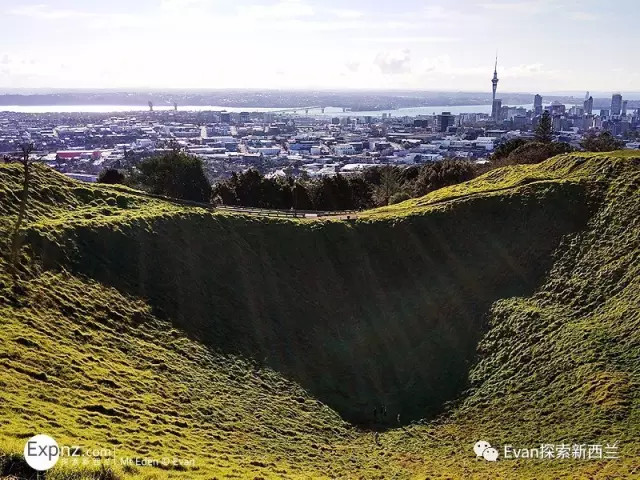 约起!奥克兰周边这些一日游目的地最适合三月