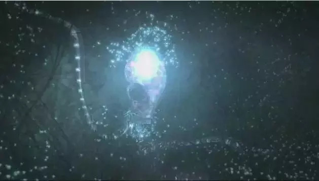 外星生命和地球上的相似吗?