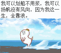 因为我这一生,全靠浪