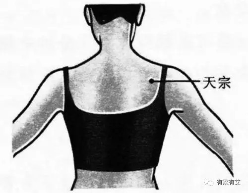 【有家有艾爱传天下】小肠有寒如何化?艾灸关元有奇效