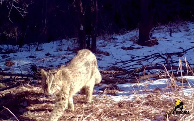 自然的美请让自然来守卫