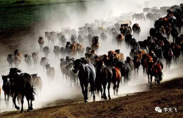 李玲玉30年后再演“西游记”,神秘男主讲述幕后故事