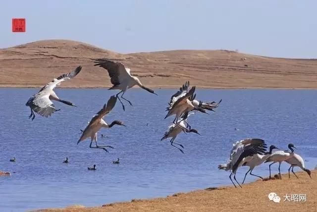 “昭阳八景”新设想|时过境迁,它们还是一如既往地美