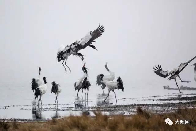 “昭阳八景”新设想|时过境迁,它们还是一如既往地美
