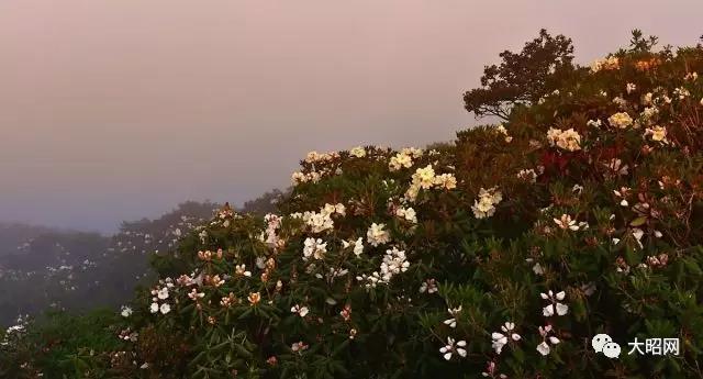 “昭阳八景”新设想|时过境迁,它们还是一如既往地美