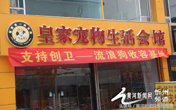 忻州建起首家流浪狗收容所 忻州建起首家流浪狗收容所