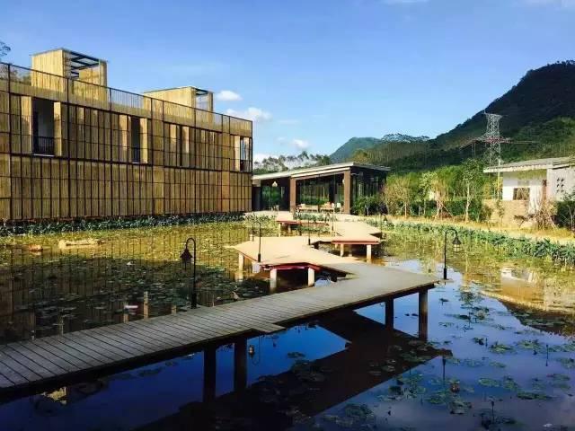 惠州罗浮山下，藏着一家绝美的稻田酒店，堪称珠三角最佳度假秘境