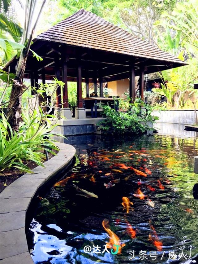 被深深种草｜这个天堂级海岛1万人仅有1人去过，却对中国人免签