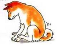 关于狗狗“肛门腺”的真相!到底要不要挤?看这篇就够了