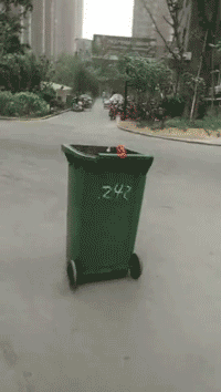 车被树砸了?手把手教你拿到赔偿!