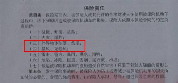 车被树砸了?手把手教你拿到赔偿!