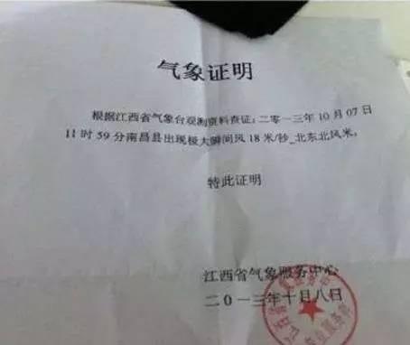 车被树砸了?手把手教你拿到赔偿!