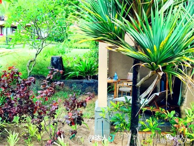 被深深种草｜这个天堂级海岛1万人仅有1人去过，却对中国人免签