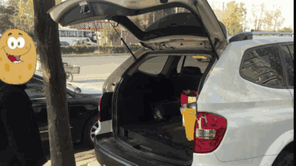 后备箱如何关?你关对了吗?