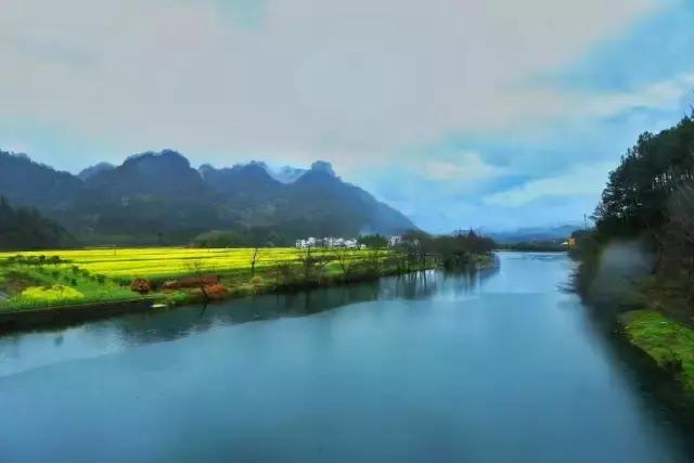 吟首明媚的诗，醉在2017各地最新春景图