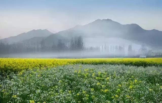 吟首明媚的诗，醉在2017各地最新春景图