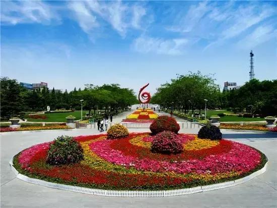 濮阳最全赏花全攻略!油菜花、樱花、桃花、杏花,一次看够! 濮阳最全赏花全攻略!油菜花、樱花、桃花、杏花,一次看够!