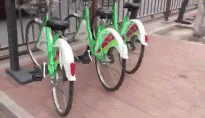 车被树砸了?手把手教你拿到赔偿!