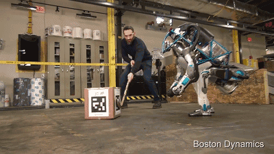 这些炫爆了的机器人早晚有一天会开始攻击人类