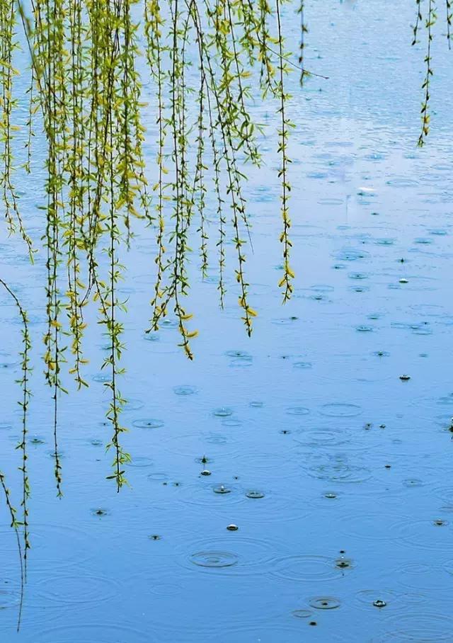 吟首明媚的诗，醉在2017各地最新春景图