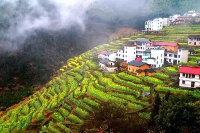 吟首明媚的诗，醉在2017各地最新春景图