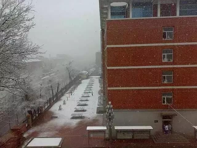 长春十大网红马路排名，第一名肯定是人民大街吗？