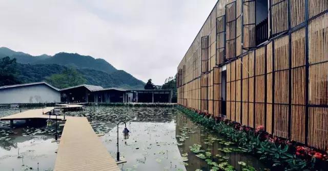 惠州罗浮山下，藏着一家绝美的稻田酒店，堪称珠三角最佳度假秘境
