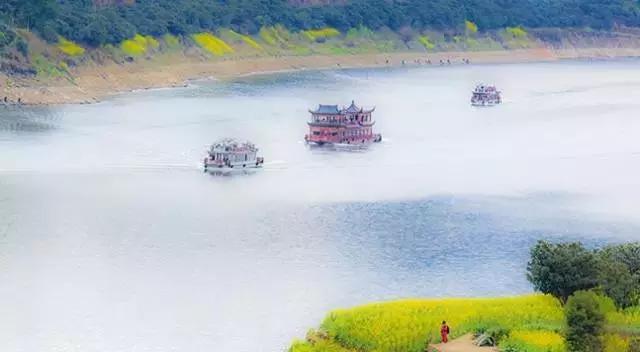 吟首明媚的诗，醉在2017各地最新春景图