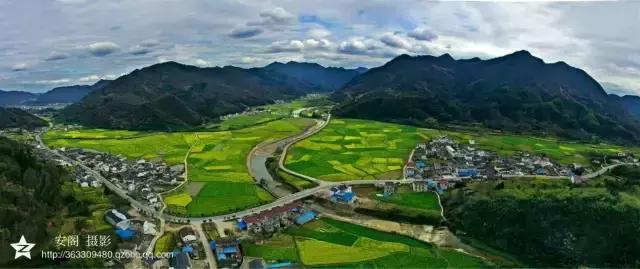 吟首明媚的诗，醉在2017各地最新春景图