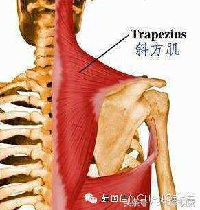 翼状肩，美丽的错误