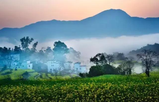 吟首明媚的诗，醉在2017各地最新春景图