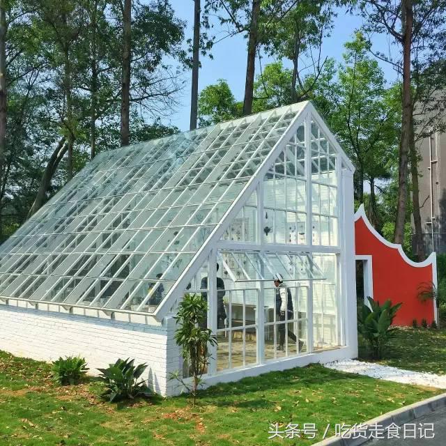 广州，你被粉红色刷屏了么？