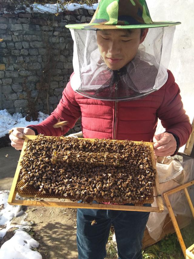 【养蜂人的创业故事】
