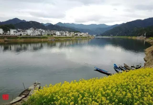 吟首明媚的诗，醉在2017各地最新春景图