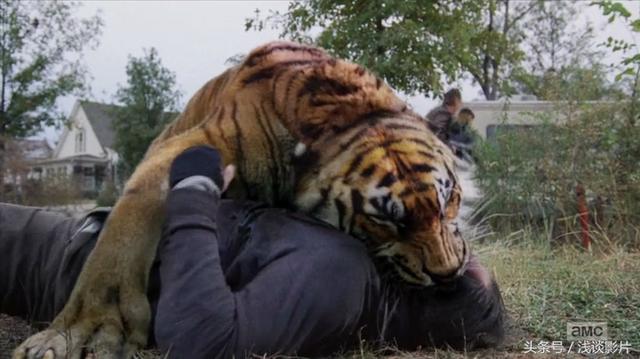 《行尸走肉》第七季16集本季终：垃圾城寨叛变，萨沙自杀变丧尸