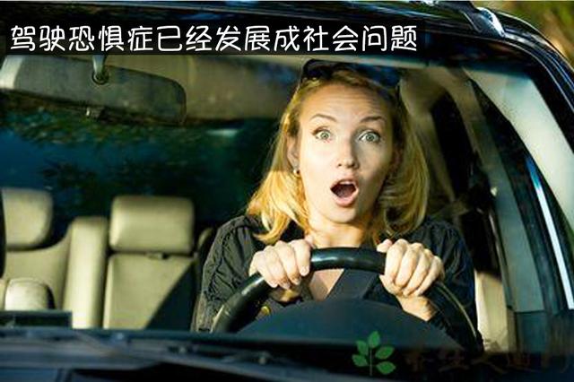德国驾驶恐惧症患者100万人,要怎么治?