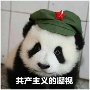 镇楼组合之认真造车:谁是汽车界里的易学习?
