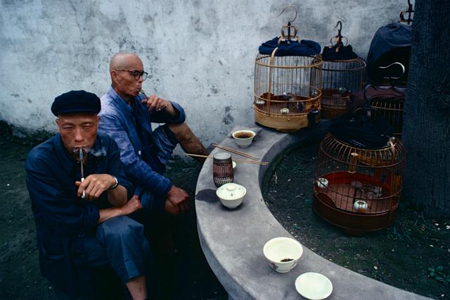 旧影专辑:我们的生活充满阳光 wbr1980年