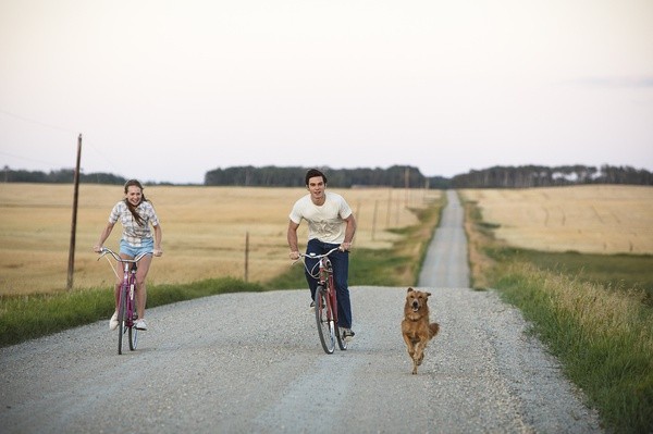 一条狗的使命是什么?看完不禁泪流满面~
