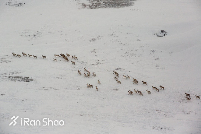 北美超马故事 <wbr>| <wbr>The <wbr>North