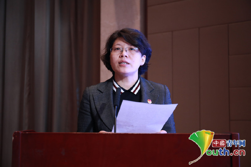 团河北省委书记宋华英: 青年之声 服务大局服务