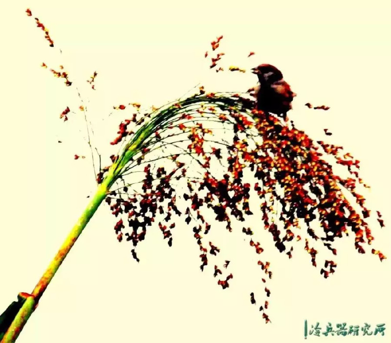 陶渊明“不为五斗米折腰”真是因为嫌钱少?