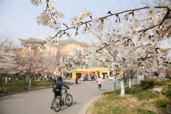 上海16座最美的地铁站,一定有你常坐的那一站!