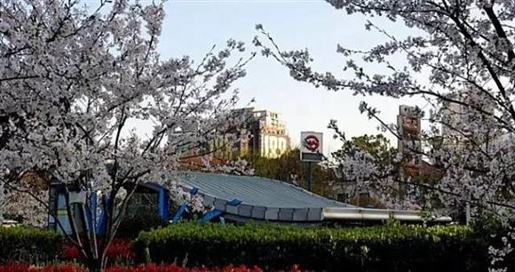 上海16座最美的地铁站,一定有你常坐的那一站!