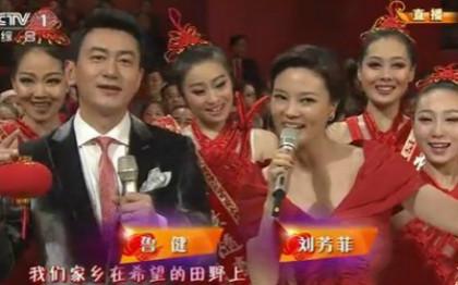 40岁刘芳菲还是那么美,可惜这一生被一个男人毁了