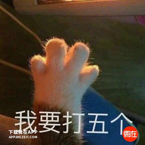 全世界结个婚要花多少钱?印度嫁女倾家荡产