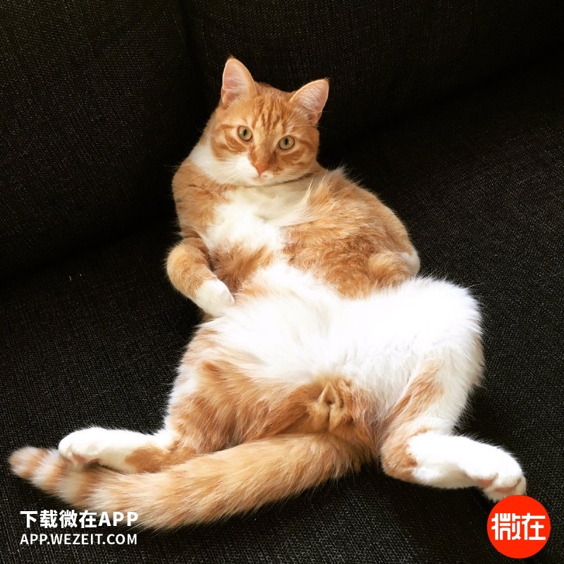 男生岔开双腿坐真是对女性不尊重吗?