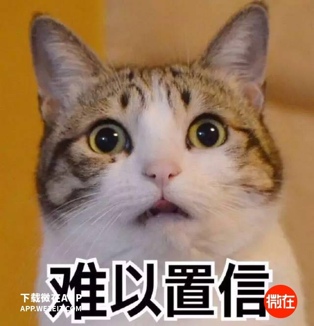 全世界结个婚要花多少钱?印度嫁女倾家荡产