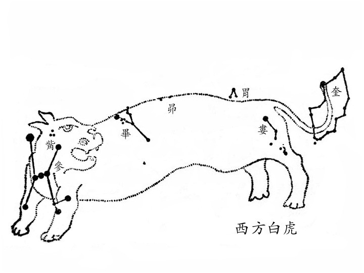 奎、娄、胃、昴、毕、觜、参（西方白虎），图取自高鲁的《星象统笺》。